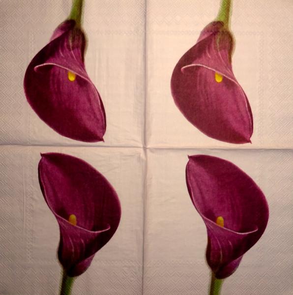 035 Calla - 3-ply